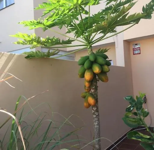 Independiente Estudio En Acogedora Casita De Mai * Costa Adeje (Tenerife)