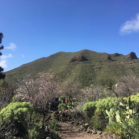 Independiente Estudio En Acogedora Casita De Mai Apartment