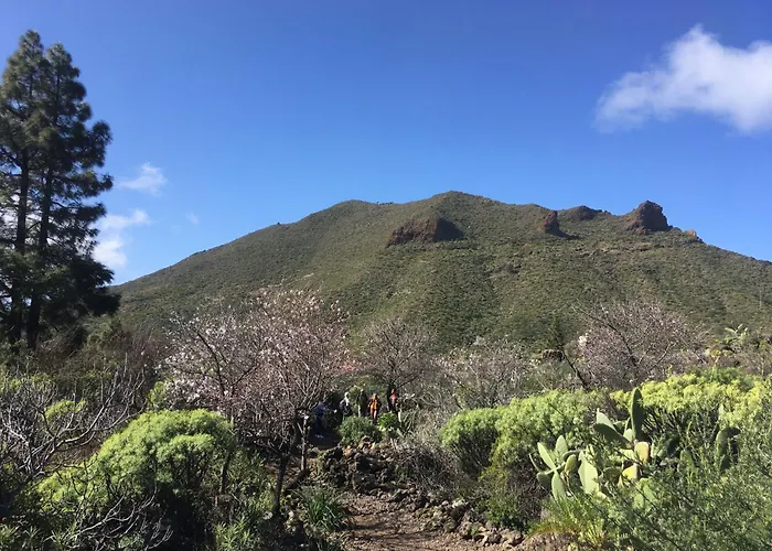 Independiente Estudio En Acogedora Casita De Mai Appartement